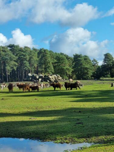 Serengeti Park Hodenhagen