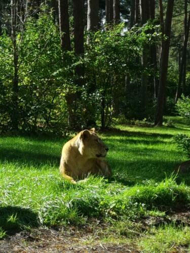 Serengeti Park Hodenhagen