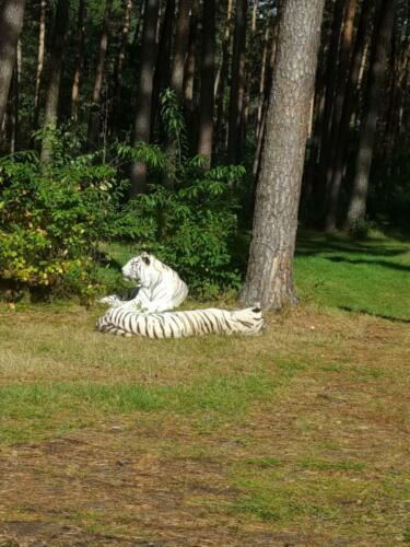 Serengeti Park Hodenhagen