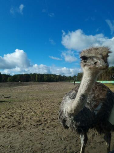 Serengeti Park Hodenhagen