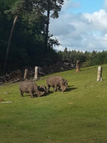 Serengeti Park Hodenhagen